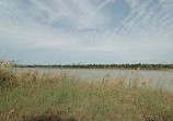 Wasit Wetland Centre