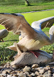 Wasit Wetland Centre