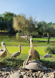 Wasit Wetland Centre