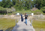 Wasit Wetland Centre