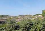 Wasit Wetland Centre