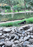 Wasit Wetland Centre