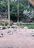 Wasit Wetland Centre