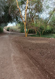 Wasit Wetland Centre