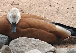 Wasit Wetland Centre