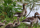 Gartenschaupark Rietberg