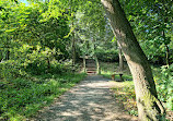 Priory Woods