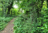 Priory Woods