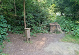 Priory Woods