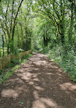 Priory Woods