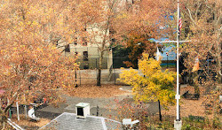 Parque Infantil Alexander Hamilton