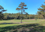 Memorial Park Rose Garden