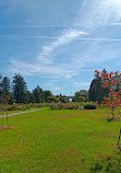 Memorial Park Rose Garden