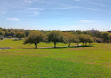 Memorial Park Rose Garden