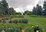 Memorial Park Rose Garden