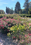 Memorial Park Rose Garden