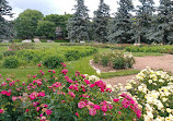 Memorial Park Rose Garden