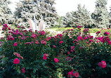 Memorial Park Rose Garden