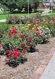 Memorial Park Rose Garden