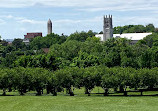 Memorial Park Rose Garden