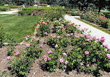 Memorial Park Rose Garden