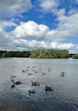 Kingsbury Water Park