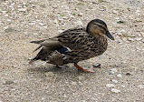 Kingsbury Water Park