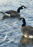 Kingsbury Water Park