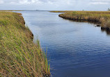 Currituck Banks Reserve