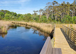 Currituck Banks Reserve