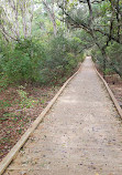 Currituck Banks Reserve