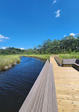 Currituck Banks Reserve