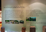 Soil Museum