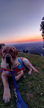 Mirante do Parque Robert Sowter