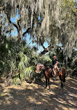 Lazy H Ranch Trail Rides