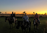 Lazy H Ranch Trail Rides