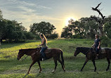 Lazy H Ranch Trail Rides