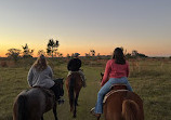 Lazy H Ranch Trail Rides