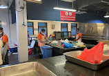 Fish Market Jumeirah 1