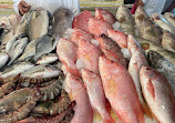 Fish Market Jumeirah 1