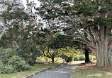 Sorrento Park