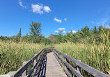 Jack Pine Trail