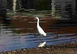 Main Reservoir Park