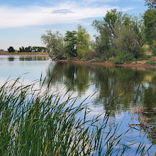 Main Reservoir Park