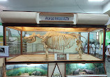 Regional Museum of Natural History