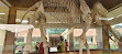 Regional Museum of Natural History