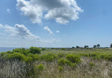 Coastal Wildlife Adventures