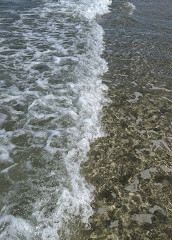 Elliott Heads rock pools