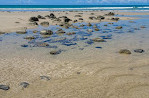 Elliott Heads rock pools