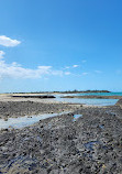 Elliott Heads rock pools